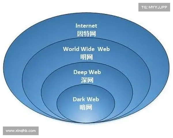 深网扫描:它们是什么?你需要一个吗? 深网扫描:它们是什么?你需要一个吗?