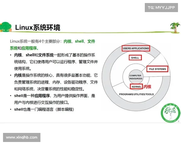 数百个 NetScaler 实例受到网络 Shell 的影响 媒体 数百个 NetScaler 实例受到网络 Shell 的影响 媒体